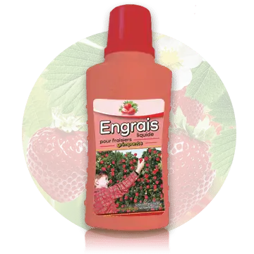 Engrais liquide pour fraisiers grimpants