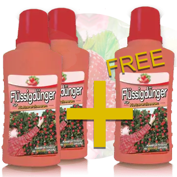 Flüssigdünger für Klettererdbeeren