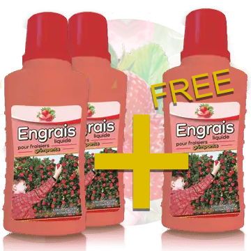 2 + 1 Engrais liquide pour fraisiers grimpants